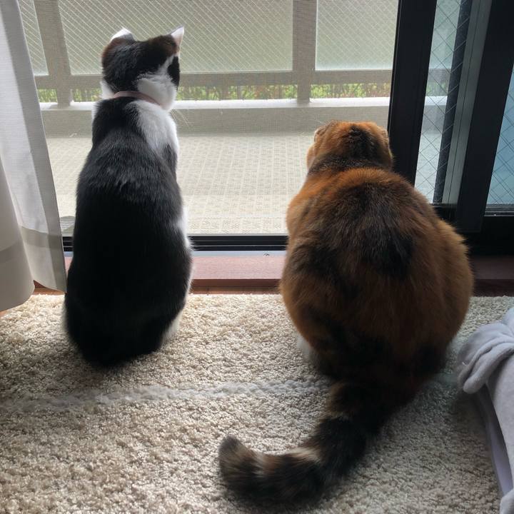 A45e3c0a 1ae1 4968 88aa 3a6930d308be 1617424789678