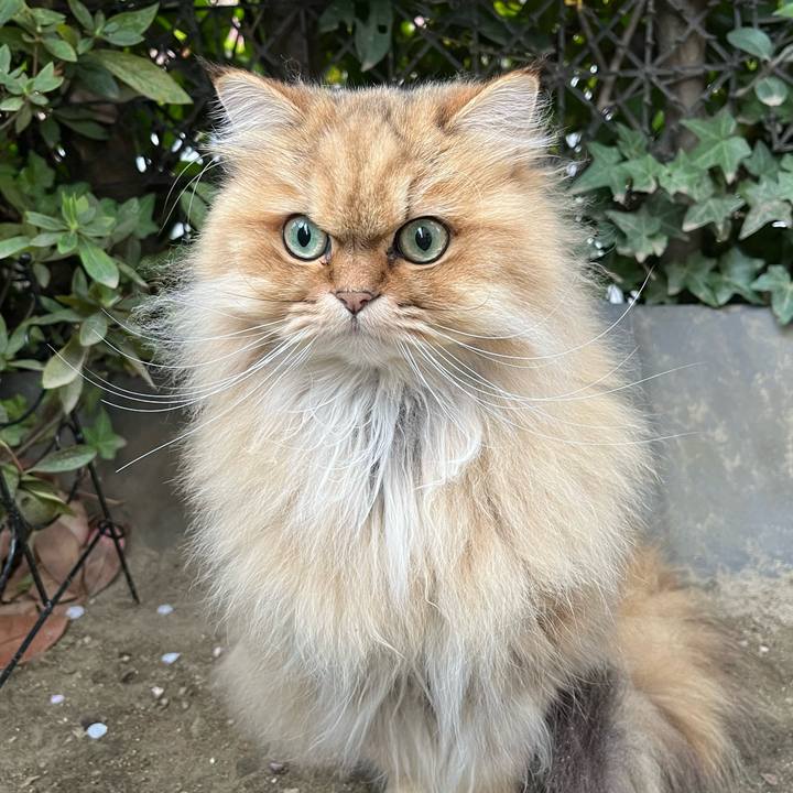 A45e552f 24f4 4b7b 95de c2be9d9cc904 1647429041705