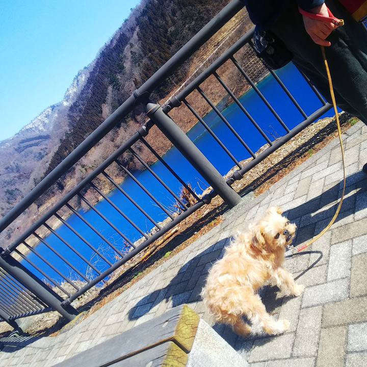 A45e6496 87a9 457e a2a4 7804c23cc981 1598669566478