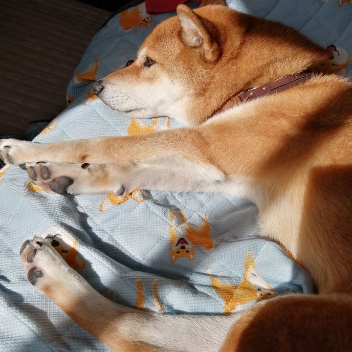 A45e6749 1c17 4fbf b1a5 fc7b7173b86e 1604910678054