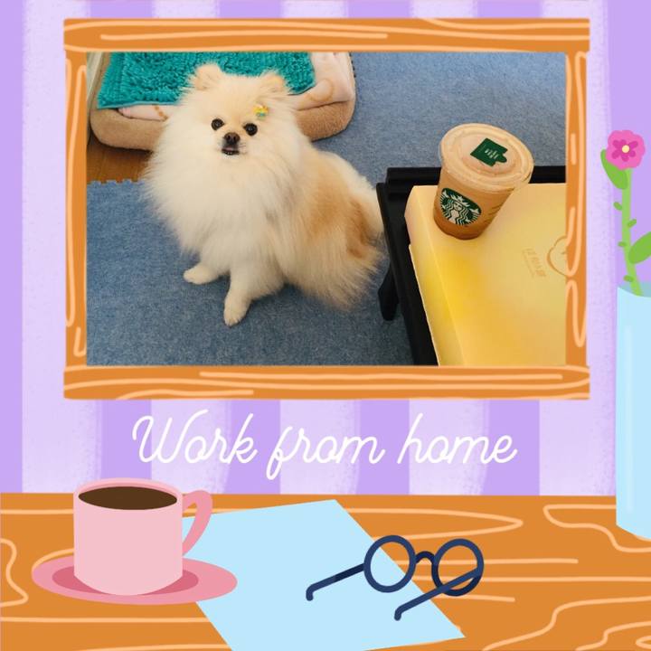 A45e8f19 f952 497e 8e39 8fec39907704 1589950884662