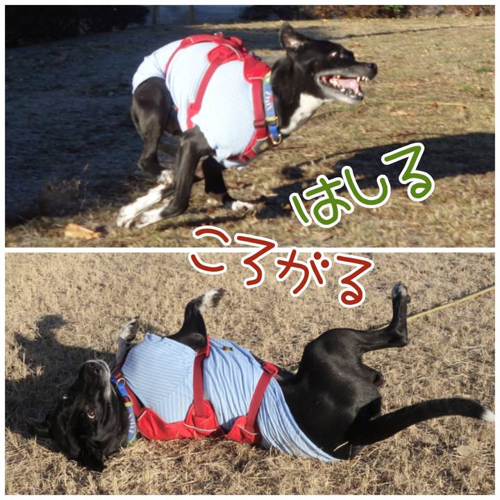 A45ea220 614c 4752 b8e9 69d39c4d3354 1674955894623