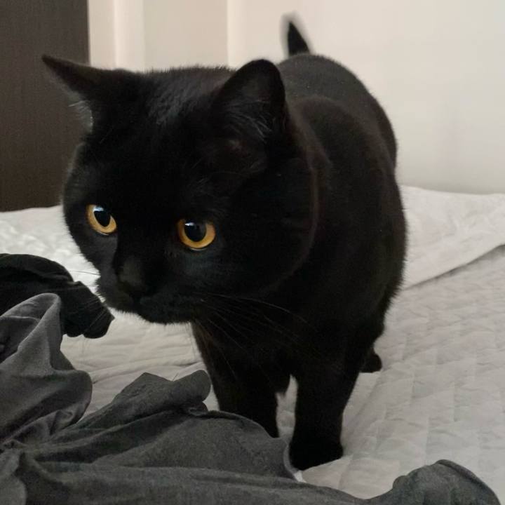 A45f0723 0f7e 4f14 b50d ab4de01cb053 1619429173635