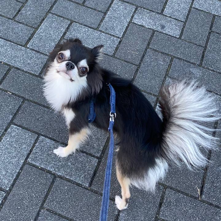 A45f387d df2b 466e 9750 dbc2edc7721f 1636861276145