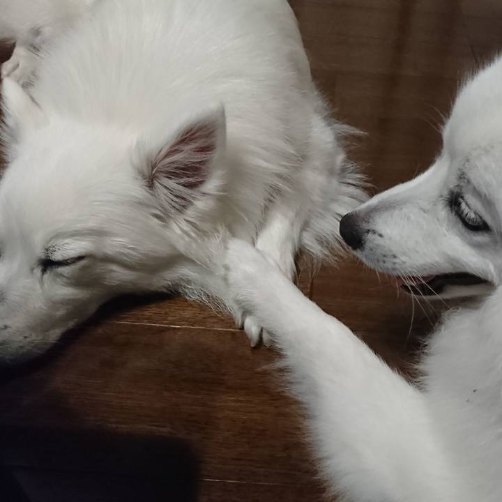 A45f7825 aa64 46cf bb01 be44a951fd25 1557153404288