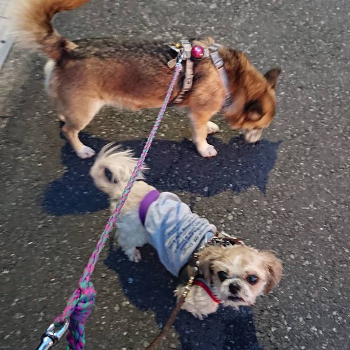 A45f782b 4604 41b7 aa35 e42a0173cefa 1535448545746