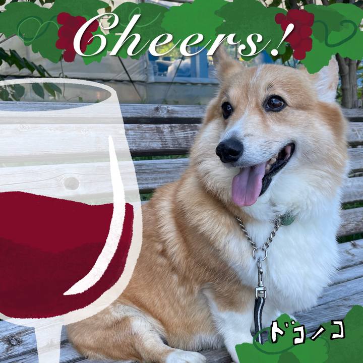 A45f7efe e140 4b5c aad7 b2c1da51e28f 1761227656859