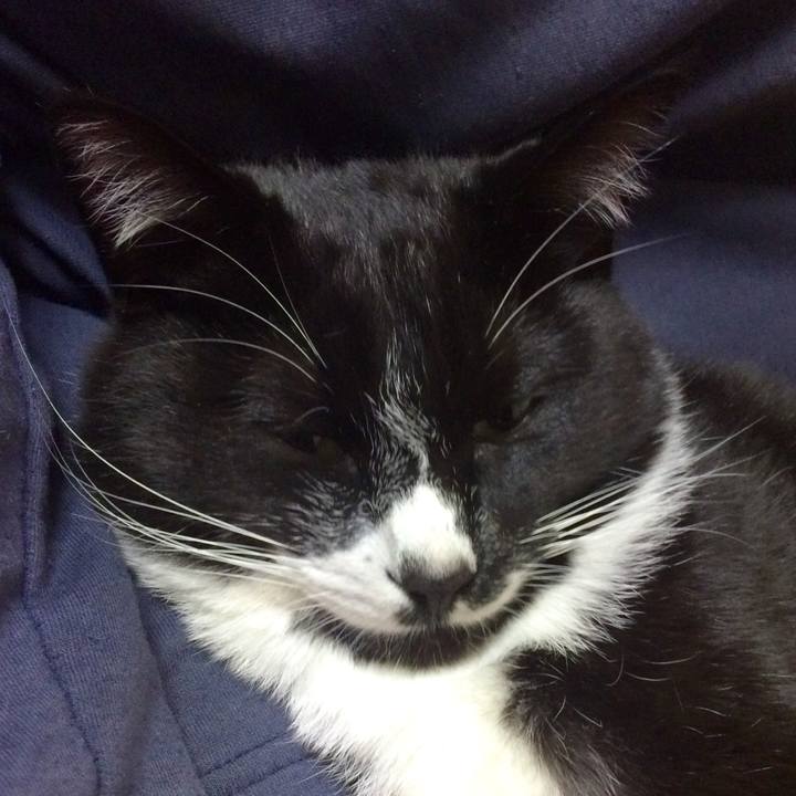 A45f8264 0848 48ea 94a7 f2af4d7ff24e 1513663045226