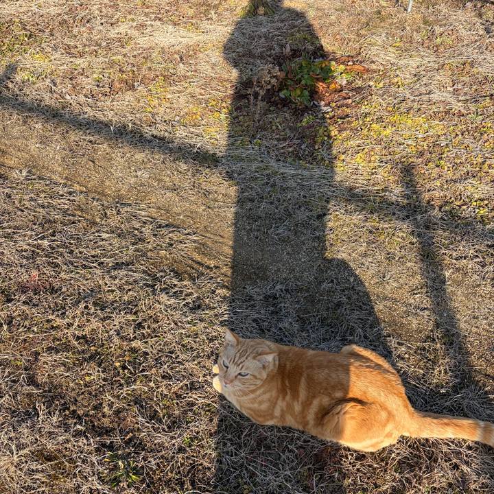 A45f97d8 1218 4ae2 8e3f 2a3788dc2237 1771136651744