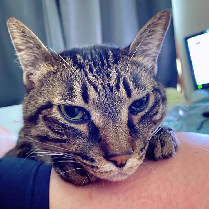 A45faaa0 77e6 4b48 be52 864181c833e2 1611803749174