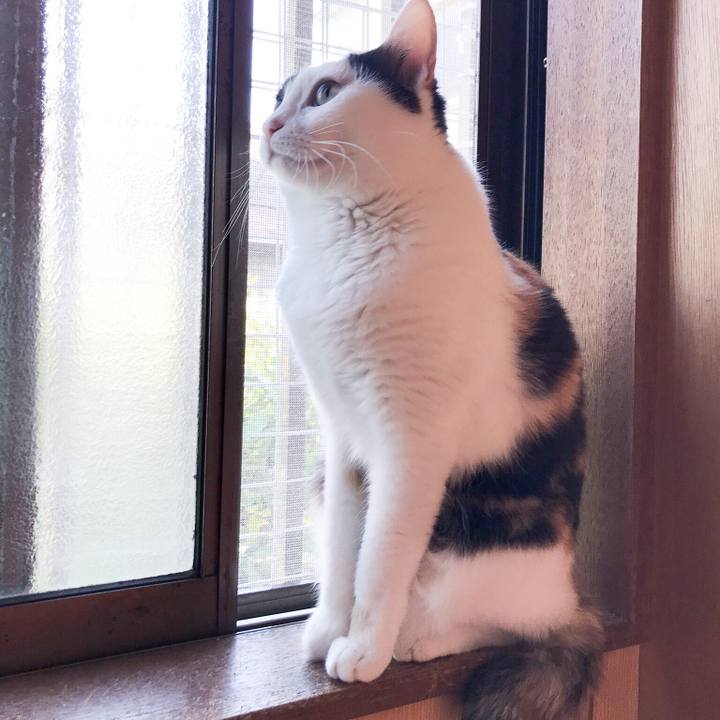 A45fbe19 d161 4af2 97d6 d11eb00b6602 1525791499212