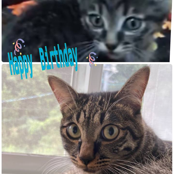 A45fc85e eb0f 4f05 bd6d cf29f247f1e3 1631535889557