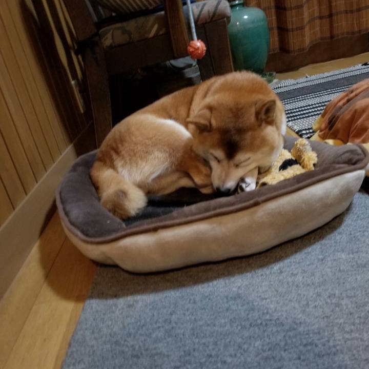 A45fe54e 10e0 4341 9179 451779340fa5 1635249269666