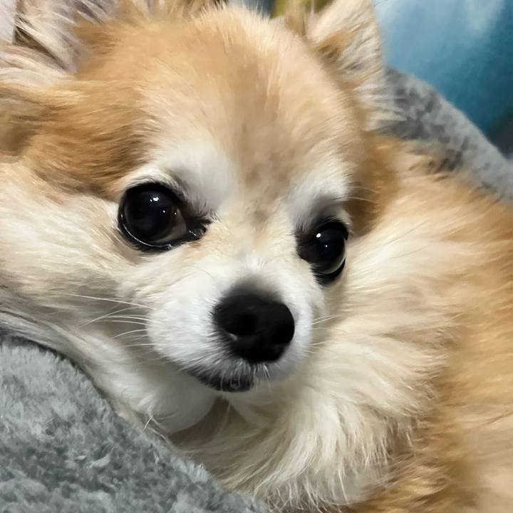 A45ffb76 6c59 46f1 8cbf 1704790511e4 1757946483503