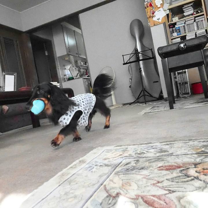 A45ffce6 e105 424f 810c af14ff370b27 1538888698051