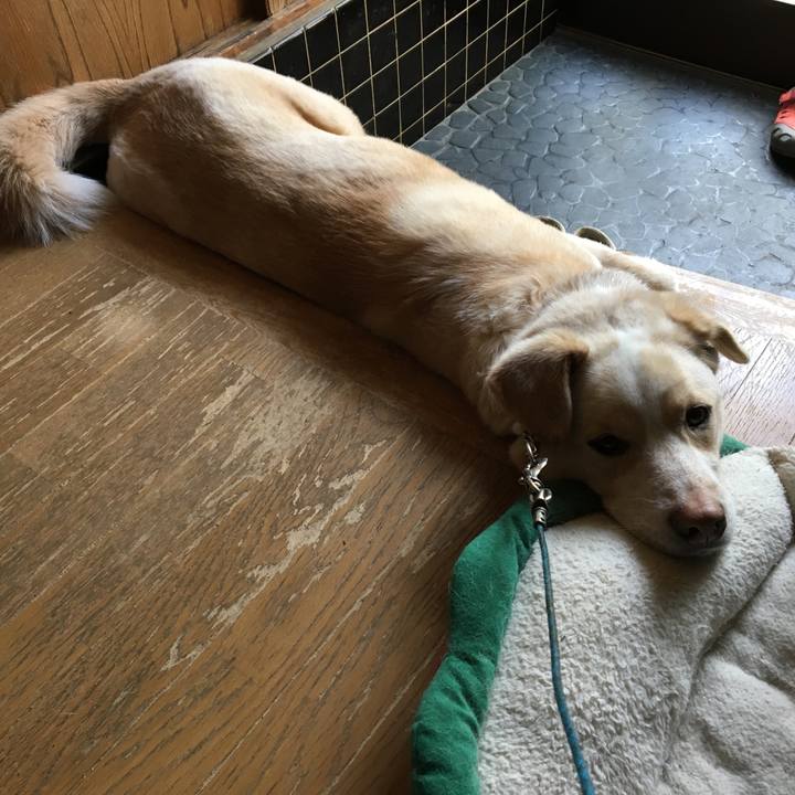 A4600595 2804 4857 8dd1 a99a5baed630 1523661225584