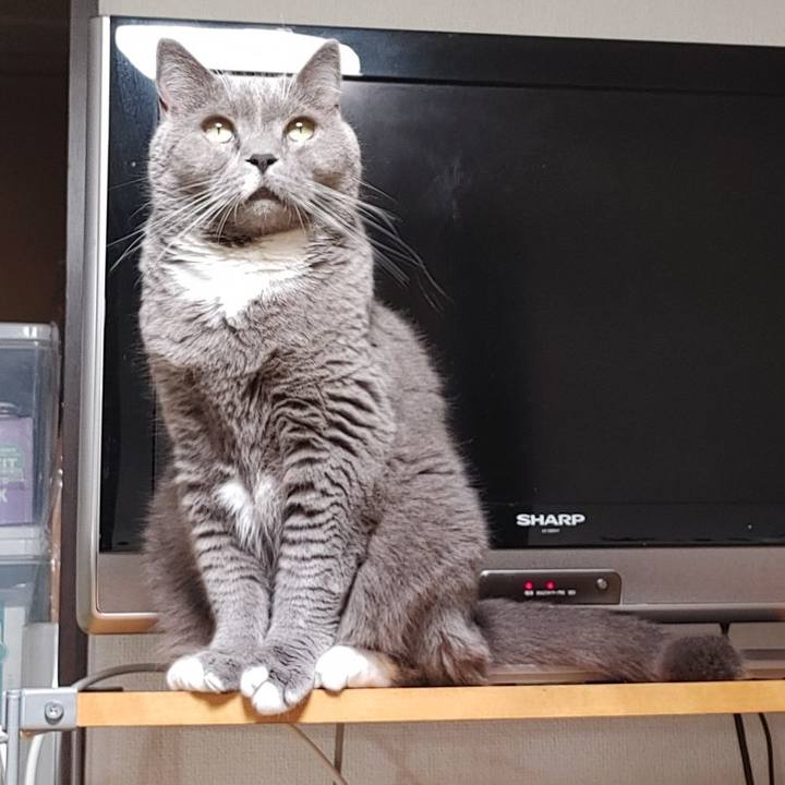 A4603452 dd41 4dc6 b795 7486d56affd3 1720692480758