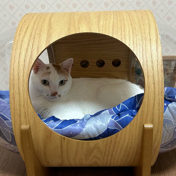 A4605ddb 6692 42b3 bfff f04a8d91df66 1684487283504