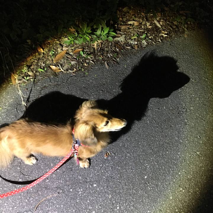 A460938a fc02 46db 80b1 6aee5253d60a 1594559402633