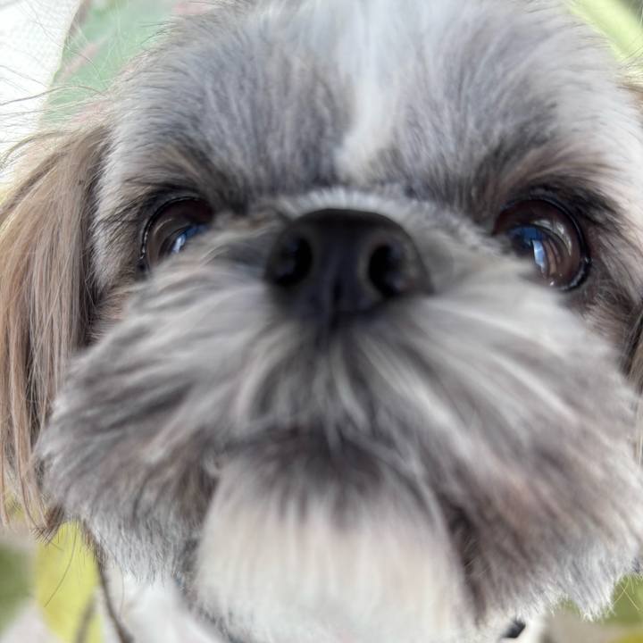 A460fa6a a265 4ad3 a594 4dc9e5f40c8b 1745296599442