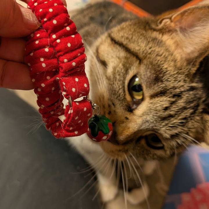 A4611db2 af01 4350 8fd4 0bae5bac1c9d 1737191474552