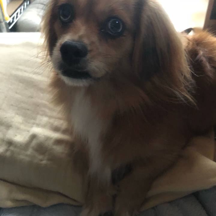 A46183cf bfcf 49a1 9d2c 6c206de1a4ae 1540332158441