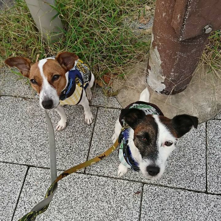 A4618bc0 9d1c 455e af87 41d0c7fb249e 1539123241963