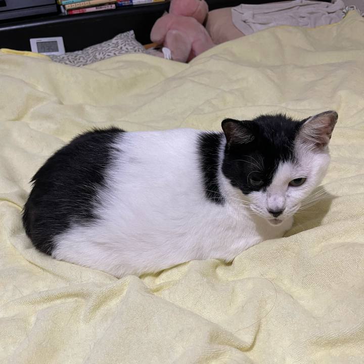 A4618c9e e3cc 47be b932 94a658496377 1760914126077