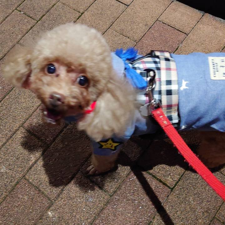 A461c2fb d0f6 45cc bee8 d95293f56f3e 1729559830030