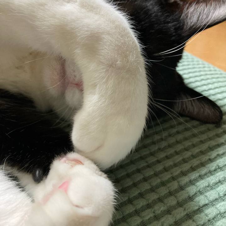 A461cda0 d633 4207 ba22 9abd2e17f615 1675134737328