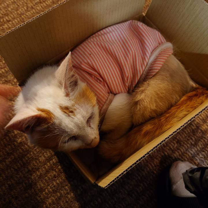 A461e1f9 97e3 41fe 8ac5 fb150fd32190 1778241373333
