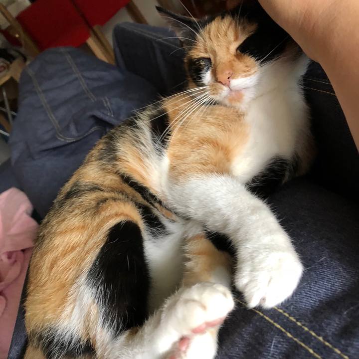 A461f556 597c 45a2 a817 dd3318879770 1530670727999