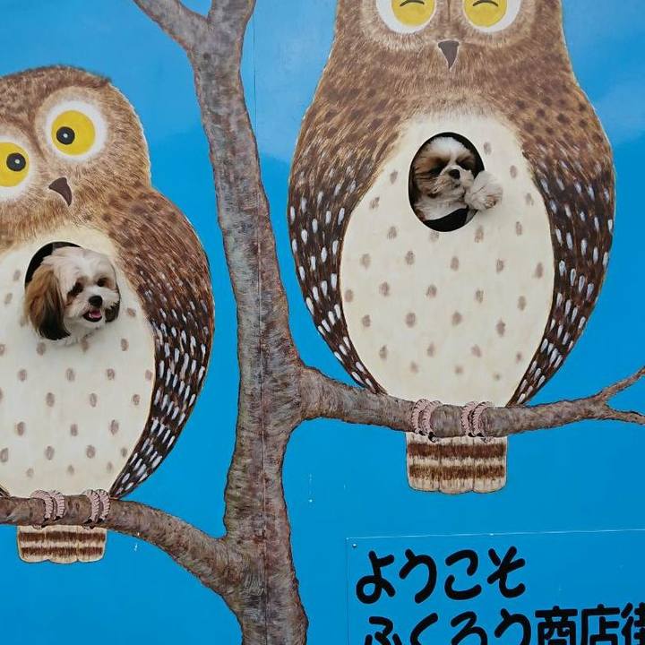 A462065b 16b1 427b 9ee4 ee2fe5471d92 1537088310294