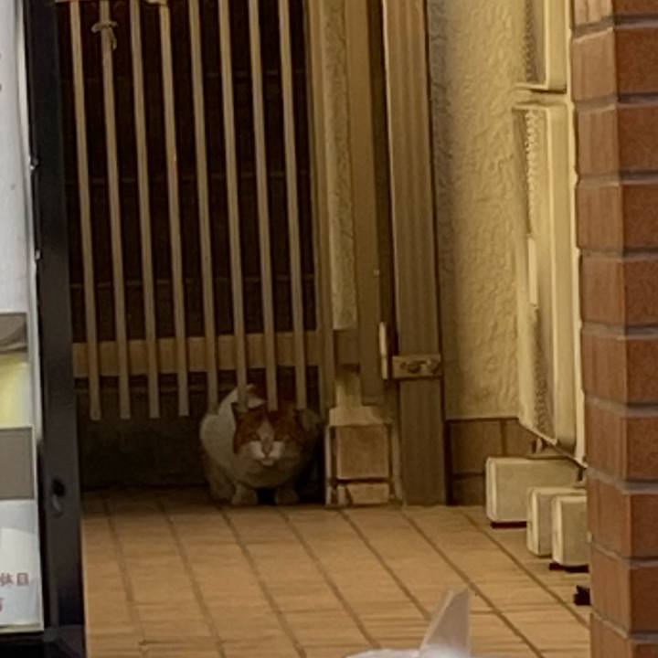 A4621c83 e622 4fbb bcaf bce5b0a2c51c 1613031319156