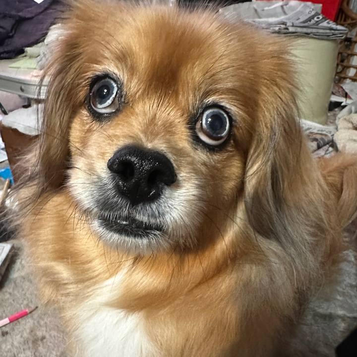 A4622e7b caa8 424f a588 a8203ecd7911 1711919031175