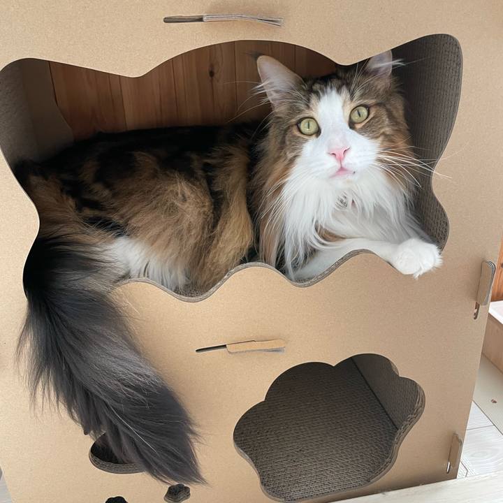 A46231f8 e60d 4382 bea2 4d73ebc2d9d5 1682116679868