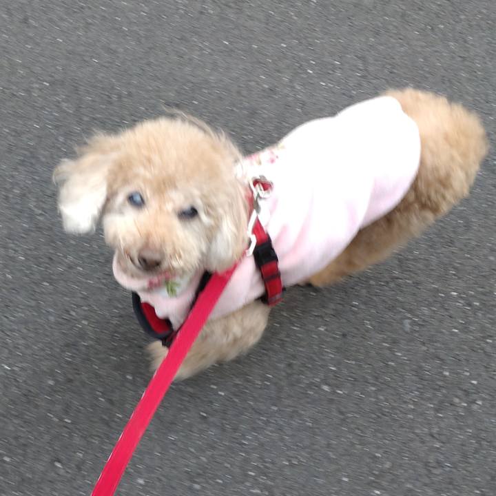 A4623d80 228c 49cd a793 d9730800d1f3 1676243681487