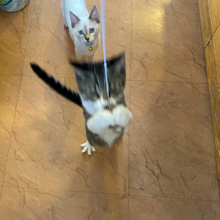 A4624c8b 01f5 4972 b414 8b2b2e69421e 1631191477052