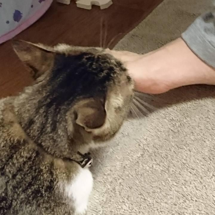 A4629c37 7040 42fa 9e8f 153846e1def3 1524232711203