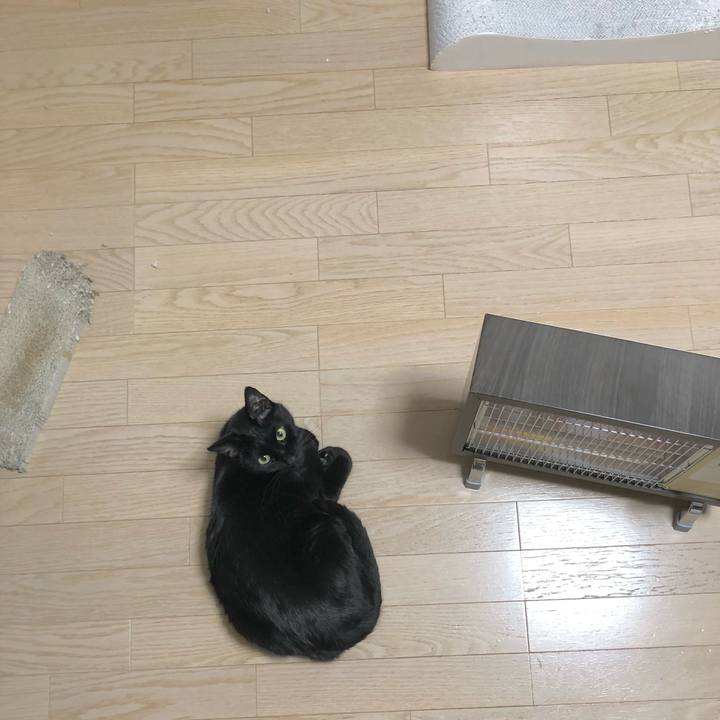 A4629cbb e876 42a9 8888 abdca2c55f40 1639659133229