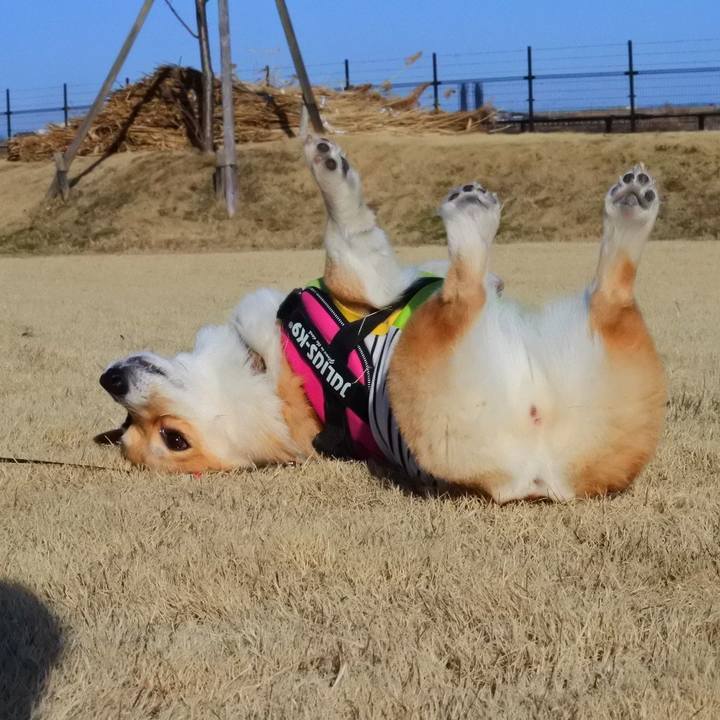 A462bed4 2b7d 4e34 a231 0ea84e6ce50b 1614500461279