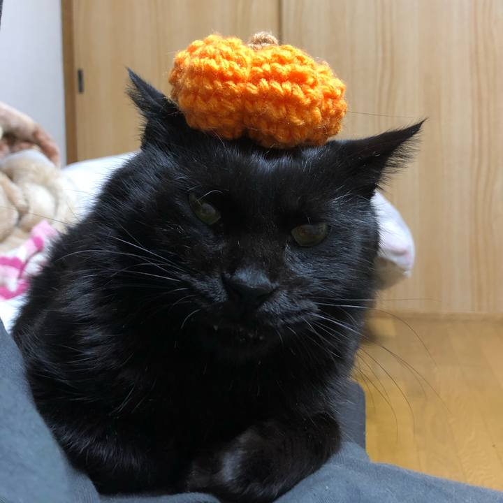 A462c243 4807 4fab a280 6d63f2676a1f 1604066258167