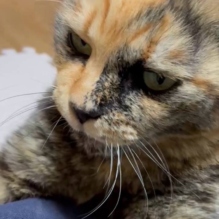 A462cd38 0b2a 47dc 8c48 5ee22e9cd44c 1768769010973