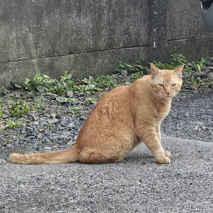 A462fae1 7847 4939 9f9d 91cd620077b9 1717233885458