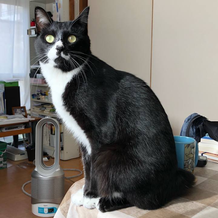 A4631de5 0fe5 4e3f be5e ad6b38820af0 1572580148837