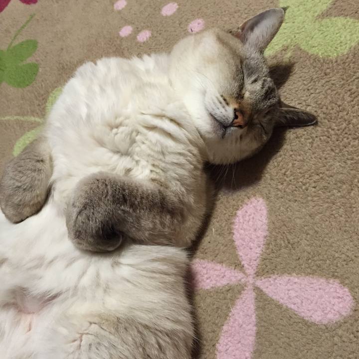 A4638308 68b0 4d87 b319 a9c8787b1060 1544009726993