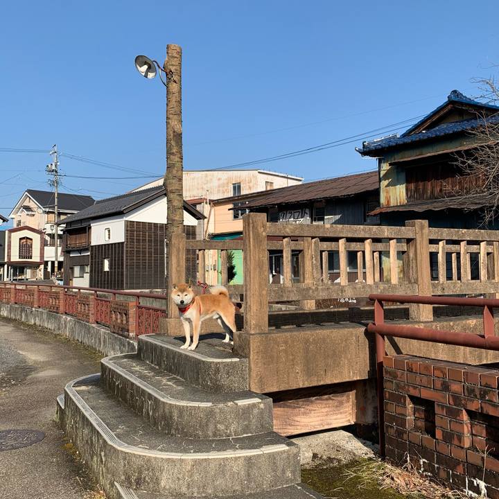 A463a727 0896 4cc2 aebf ebf01012ce27 1611045491130