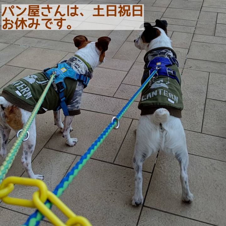 A463e8aa a917 4159 82d6 db2c56659c81 1621851139556