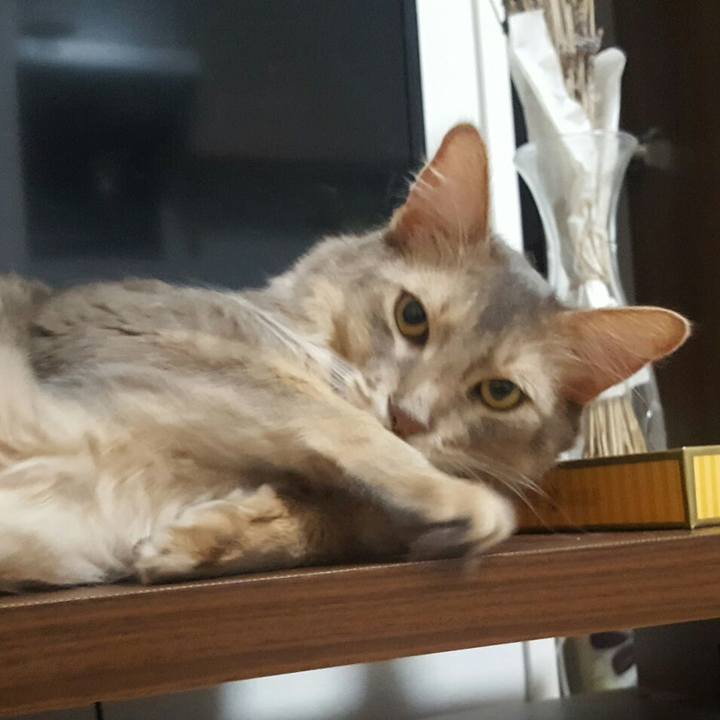 A4640873 9e3f 4a33 b58b f558f468cc55 1563449124203