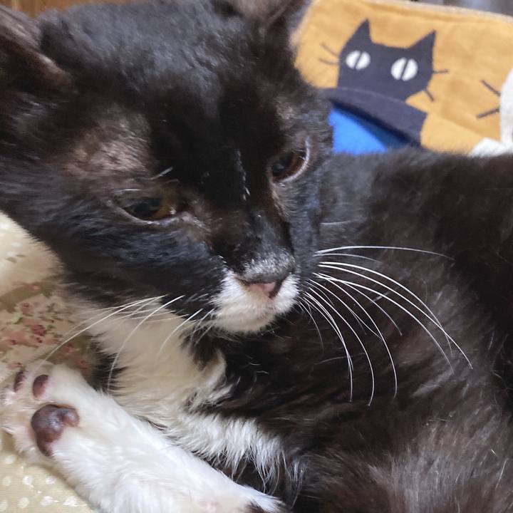 A46411a8 de09 41af a643 e6554bd1b57d 1632024968721